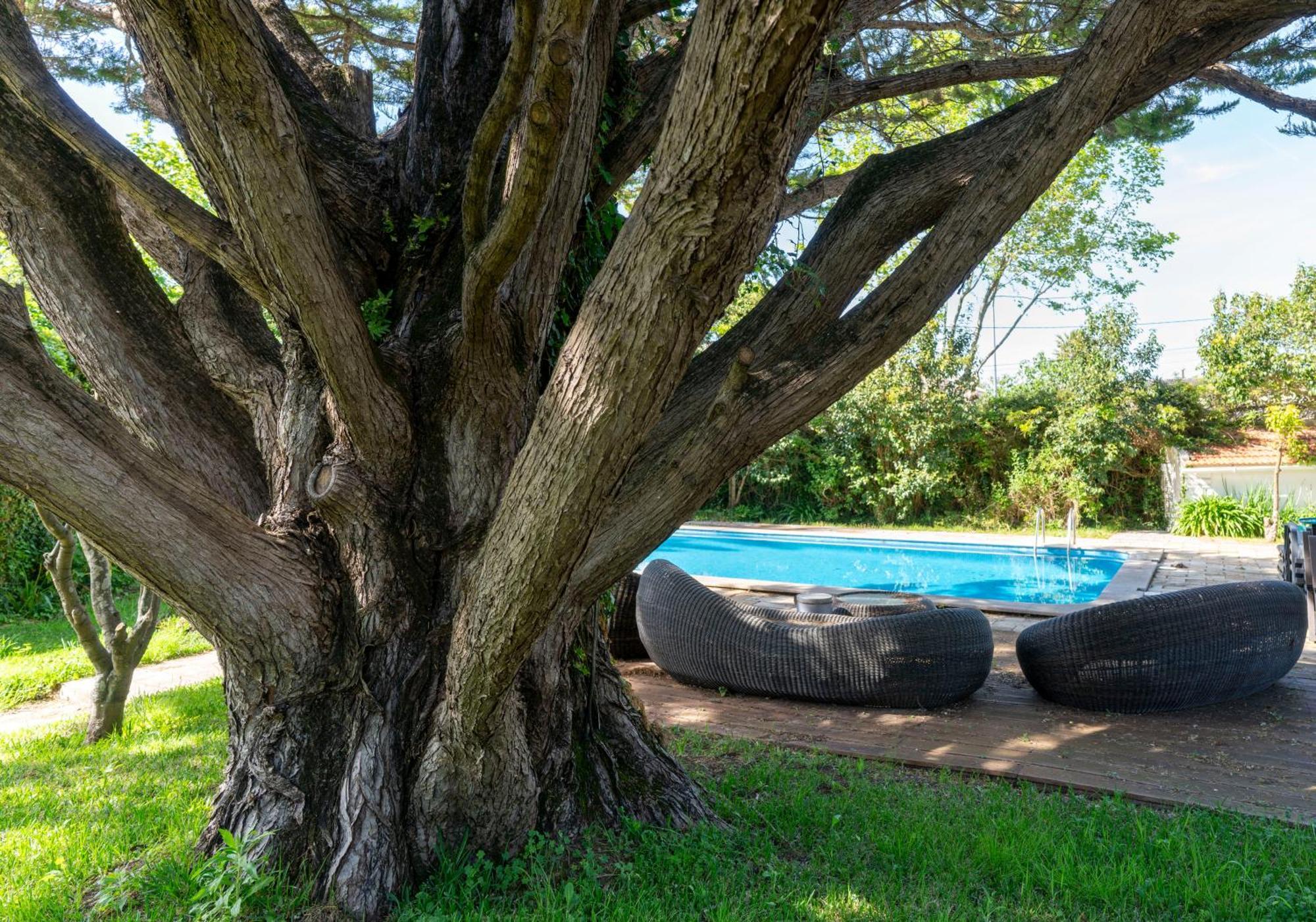 Villa Das Rosas Sintra Kültér fotó