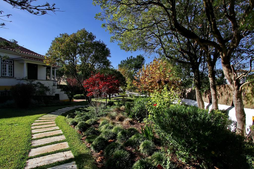 Villa Das Rosas Sintra Kültér fotó